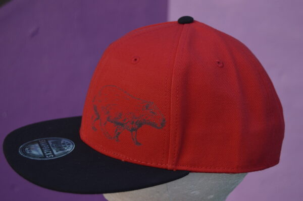 Čepice Kapybara snapback - The Kapybara (black/red) - Image 2