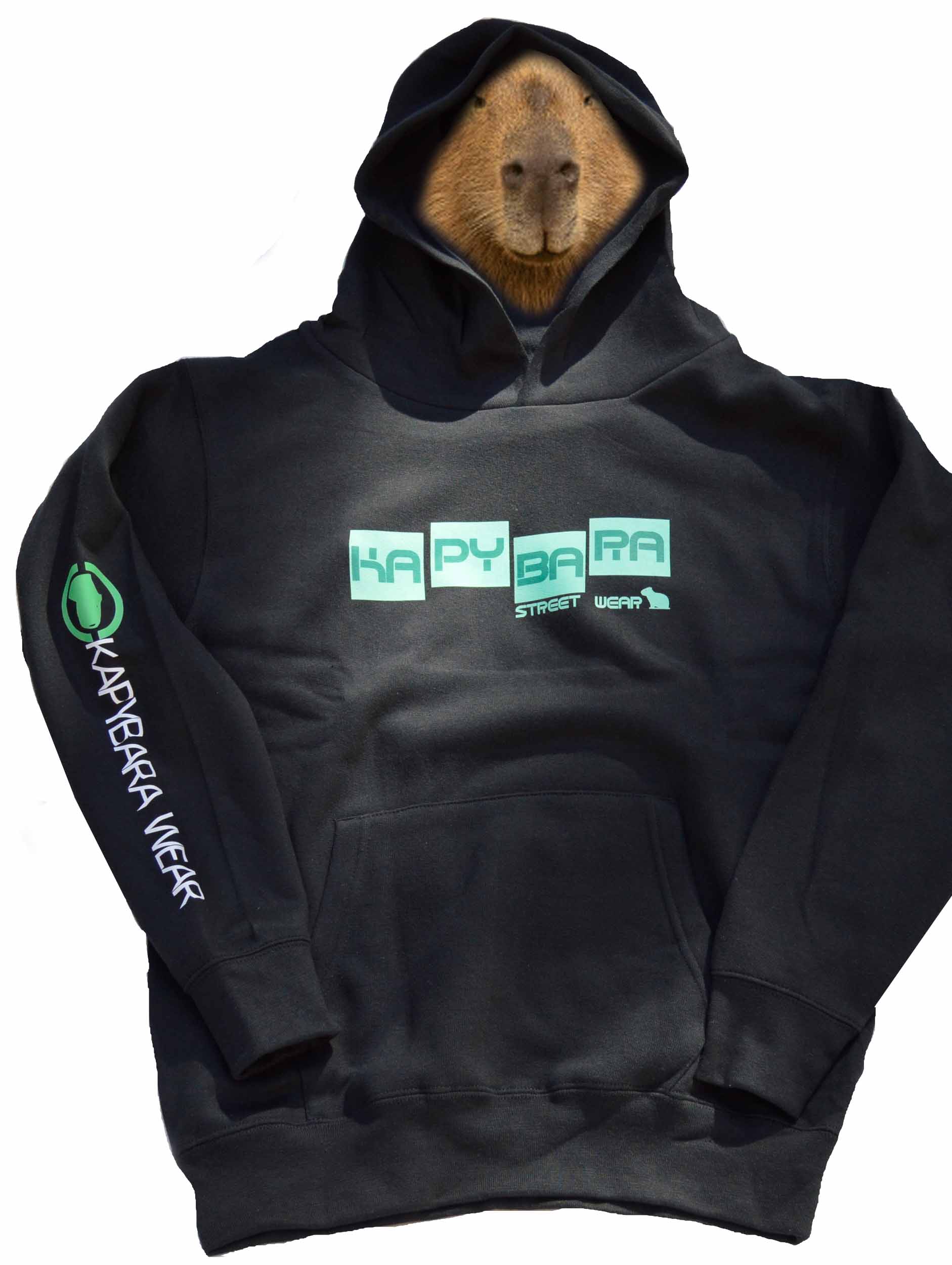 Dětská mikina Kapybara wear - Cube (black/tyrkys)