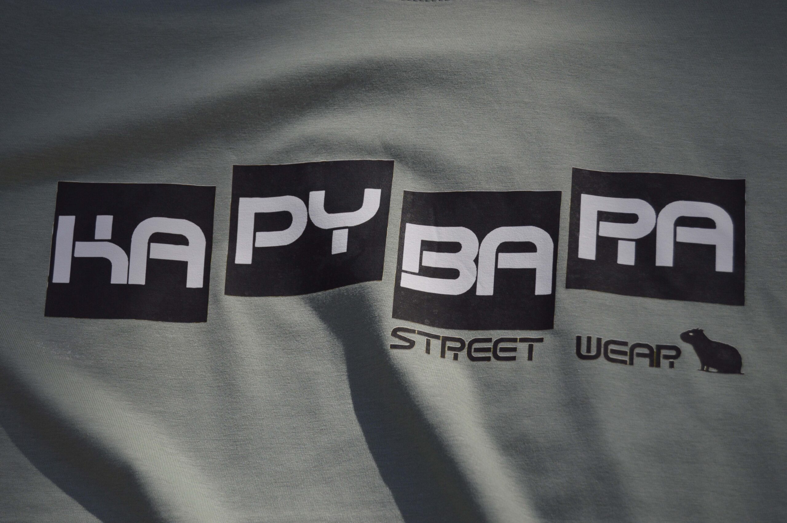 Tričko Kapybara wear - Cube (sage) - Obrázek 3